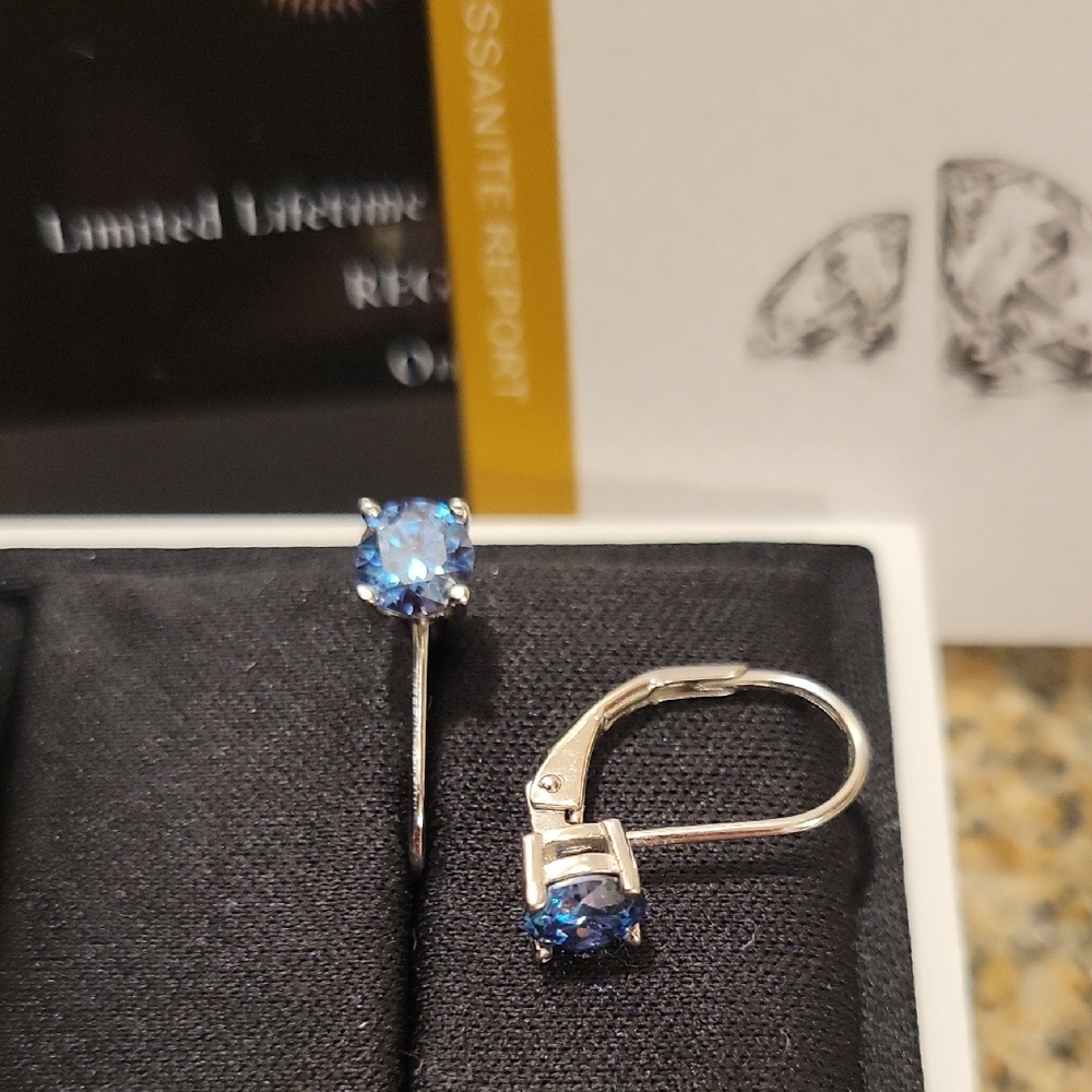 Elegant Blue Stone Silver Earrings